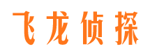 青铜峡侦探公司